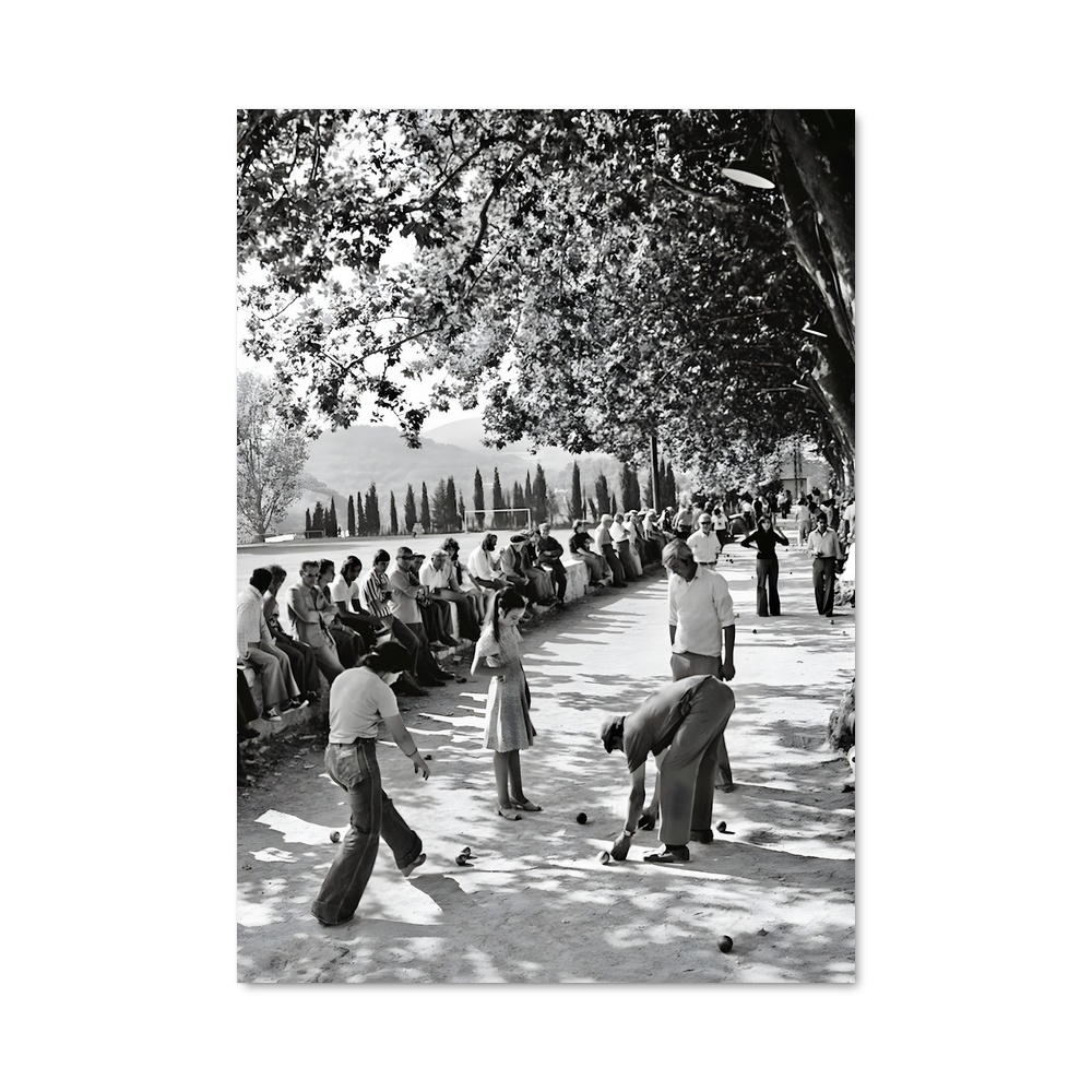 Poster Cricket en plein air